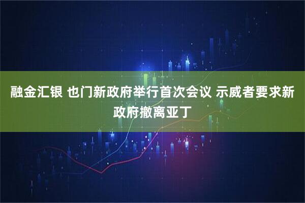 融金汇银 也门新政府举行首次会议 示威者要求新政府撤离亚丁