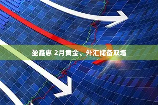 盈鑫惠 2月黄金、外汇储备双增