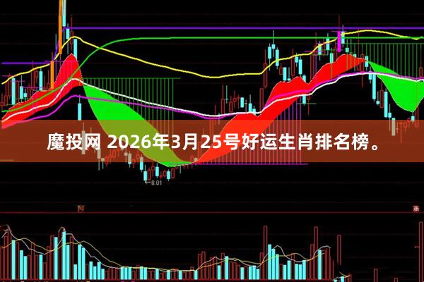 魔投网 2026年3月25号好运生肖排名榜。
