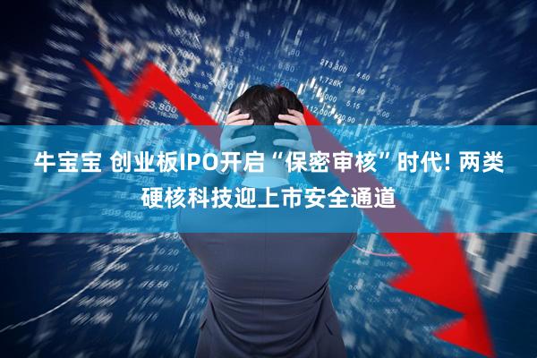 牛宝宝 创业板IPO开启“保密审核”时代! 两类硬核科技迎上市安全通道