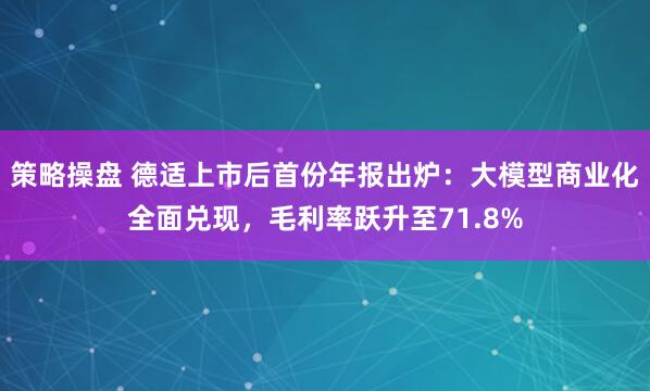 策略操盘 德适上市后首份年报出炉：大模型商业化全面兑现，毛利率跃升至71.8%