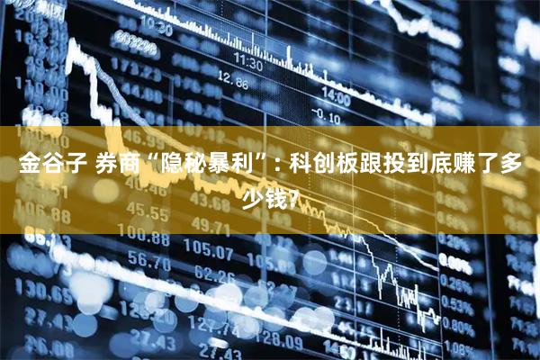金谷子 券商“隐秘暴利”: 科创板跟投到底赚了多少钱?